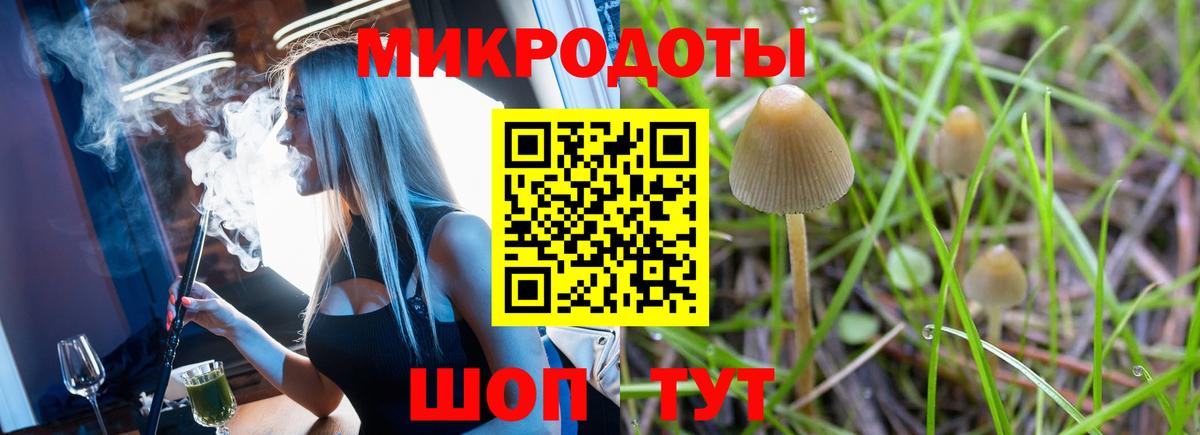 как найти закладки  Вход с VPN  Дербент  Галлюциногенные грибы Psilocybe 